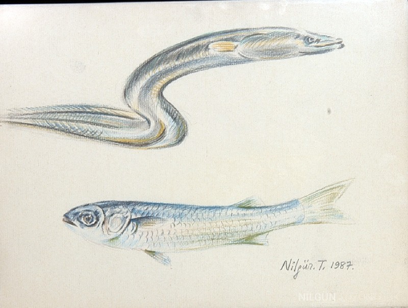 30x20 Kağıt Üzerine Desen 1987